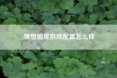理想国度游戏配置怎么样