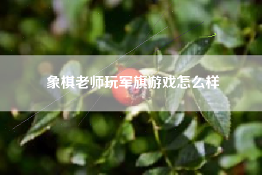 象棋老师玩军旗游戏怎么样