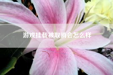 游戏挂载被取消会怎么样