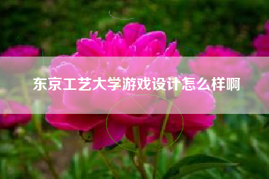东京工艺大学游戏设计怎么样啊