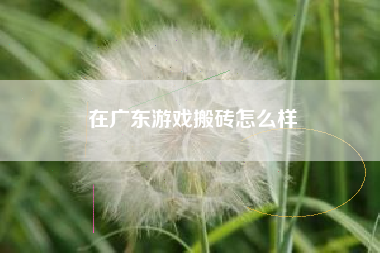 在广东游戏搬砖怎么样