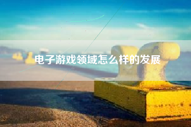 电子游戏领域怎么样的发展