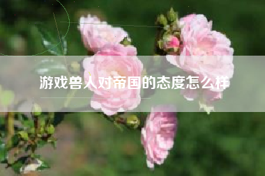游戏兽人对帝国的态度怎么样