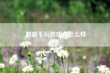 剃眉毛玩游戏会怎么样