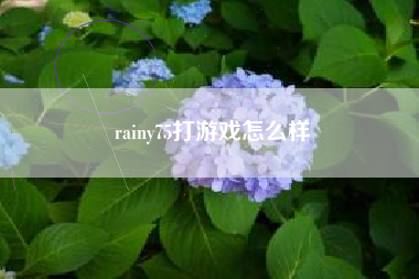 rainy75打游戏怎么样