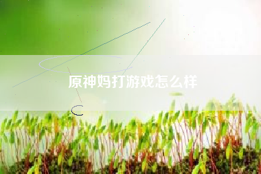 原神妈打游戏怎么样
