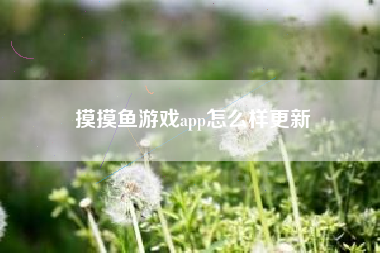 摸摸鱼游戏app怎么样更新