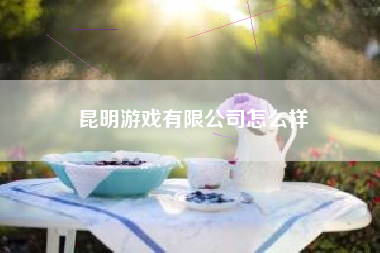 昆明游戏有限公司怎么样