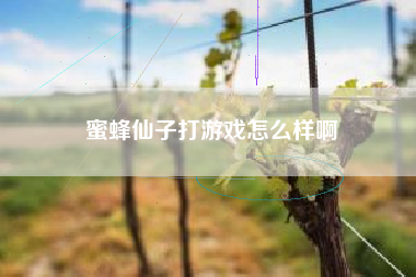 蜜蜂仙子打游戏怎么样啊