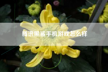 腾讯黑鲨手机游戏怎么样