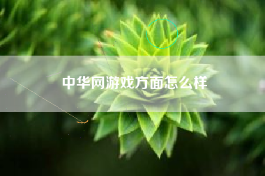 中华网游戏方面怎么样