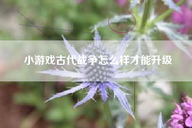 小游戏古代战争怎么样才能升级