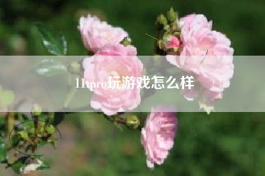11tpro玩游戏怎么样
