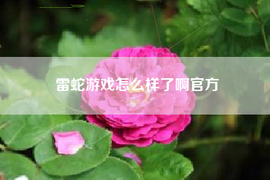 雷蛇游戏怎么样了啊官方