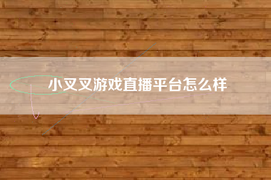 小叉叉游戏直播平台怎么样