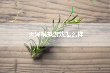 天泽模拟游戏怎么样