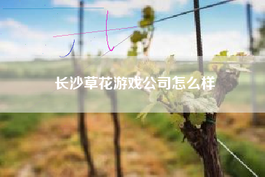 长沙草花游戏公司怎么样