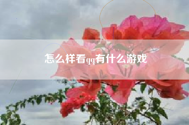 怎么样看qq有什么游戏