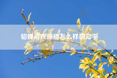 貂蝉游戏画质怎么样啊知乎