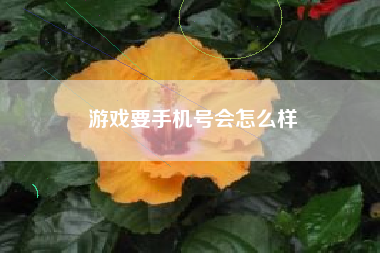 游戏要手机号会怎么样