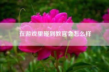 在游戏里碰到教官会怎么样