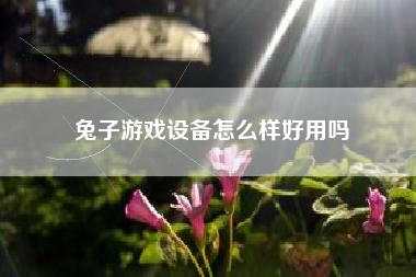 兔子游戏设备怎么样好用吗