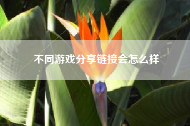 不同游戏分享链接会怎么样