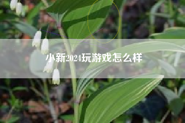 小新2024玩游戏怎么样