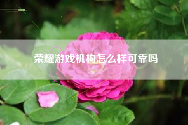 荣耀游戏机构怎么样可靠吗