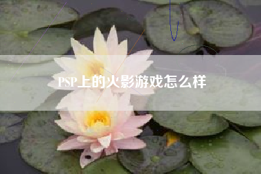 PSP上的火影游戏怎么样