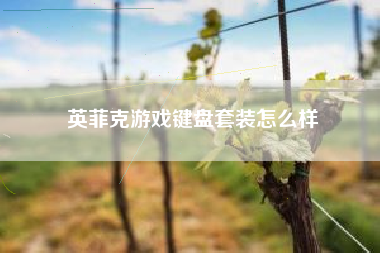 英菲克游戏键盘套装怎么样