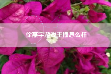 徐燕宇游戏主播怎么样