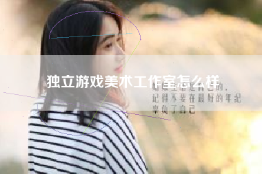 独立游戏美术工作室怎么样