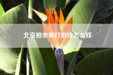 北京相亲爱打游戏怎么样
