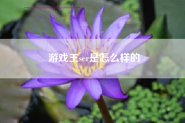 游戏王ser是怎么样的