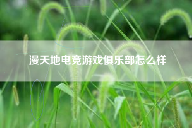 漫天地电竞游戏俱乐部怎么样