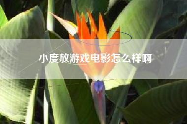 小度放游戏电影怎么样啊