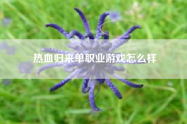 热血归来单职业游戏怎么样