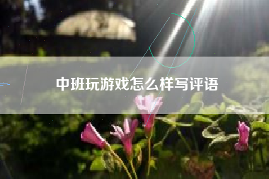 中班玩游戏怎么样写评语