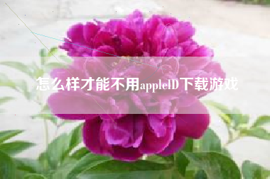 怎么样才能不用applelD下载游戏