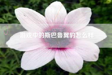 游戏中的斯巴鲁翼豹怎么样