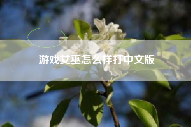 游戏女巫怎么样打中文版