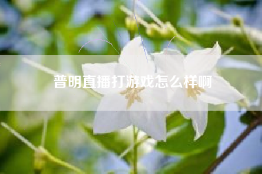 普明直播打游戏怎么样啊