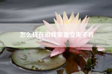 怎么样在游戏里面变夹子音