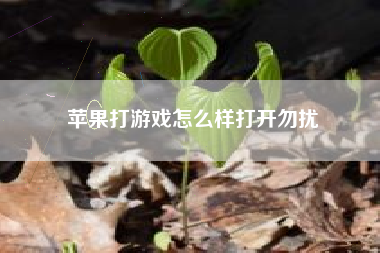 苹果打游戏怎么样打开勿扰