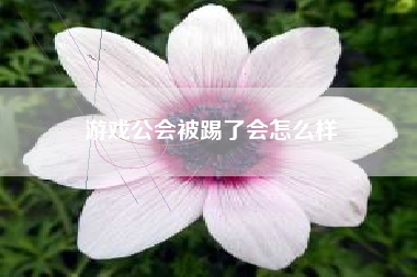 游戏公会被踢了会怎么样