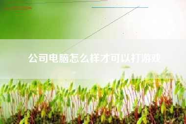 公司电脑怎么样才可以打游戏