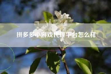 拼多多小游戏代理平台怎么样