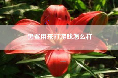 黑鲨用来打游戏怎么样