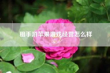 租手游苹果游戏经营怎么样